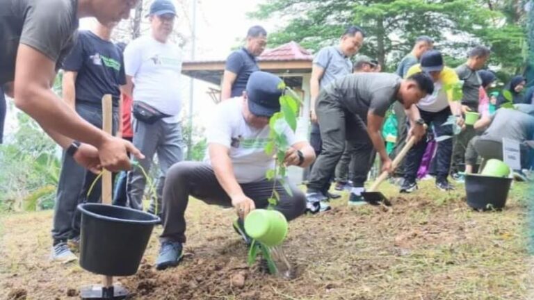 Bukit Sulap Jadi Target Gerakan Tanam Pohon Nasional