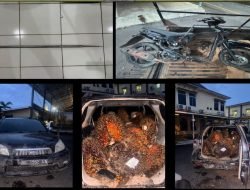 Polres Musi Rawas Ungkap Kasus Pencurian Buah Sawit di PT. Djuanda Sawit Lestari